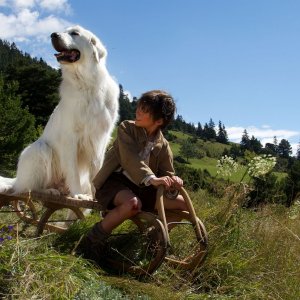 Belle & Sebastien - L'avventura continua: Félix Bossuet si diverte con l'amato cane in una scena del film