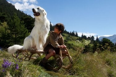 Belle & Sebastien - L'avventura continua: Félix Bossuet si diverte con l'amato cane in una scena del film