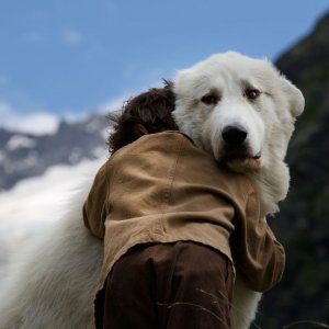 Belle & Sebastien - L'avventura continua: Félix Bossuet abbraccia il suo cane