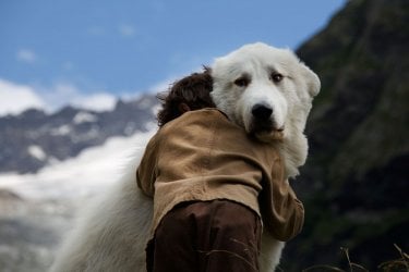 Belle & Sebastien - L'avventura continua: Félix Bossuet abbraccia il suo cane