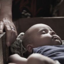 Leone nel basilico: un'immagine ravvicinata sul bambino