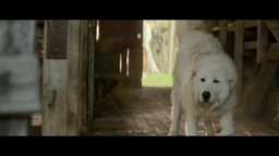 Giotto, l'amico dei pinguini - Clip 'Il risveglio di Giotto'