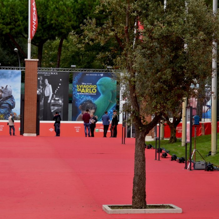 Roma 2015: un immagine del red carpet