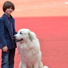 Roma 2015:Felix Bossuet e Belle posano sul tappeto rosso di Belle & Sèbastien, l'avventura continua