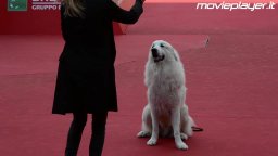 Belle & Sebastien 2 a Roma 2015