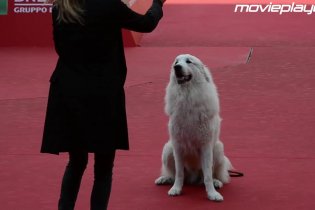 Belle & Sebastien 2 a Roma 2015