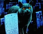 Guillermo Del Toro vuole rifare Pet Sematary di Stephen King