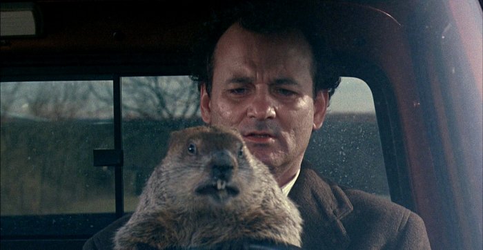 Bill Murray morso due volte dalla marmotta di Ricomincio da capo: 'Non era addestrata, era selvatica'