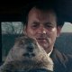 Bill Murray morso due volte dalla marmotta di Ricomincio da capo: 'Non era addestrata, era selvatica'
