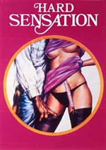 Locandina di Hard Sensation