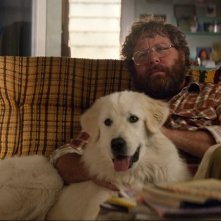 Giotto, l'amico dei pinguini: Shane Jacobson e il cane Giotto in una scena del film