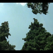 Kommunisten: un'immagine tratta dal film