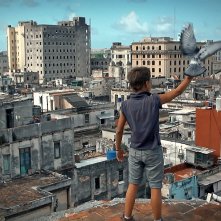 Condotta: Armando Valdes Freire con in mano un piccione pronto a spiccare il volo