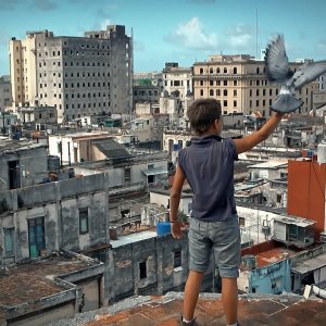 Condotta: Armando Valdes Freire con in mano un piccione pronto a spiccare il volo