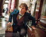 Fantastic Beasts: nuove foto dei protagonisti sul set del film