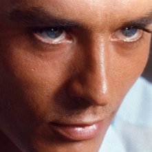 Alain Delon