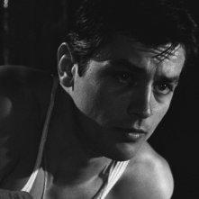 Alain Delon in Rocco e i suoi fratelli