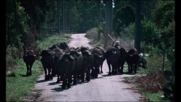 Bella e Perduta - Clip 1