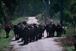 Bella e Perduta - Clip 1