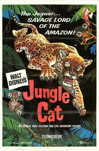 Locandina di Il giaguaro della giungla