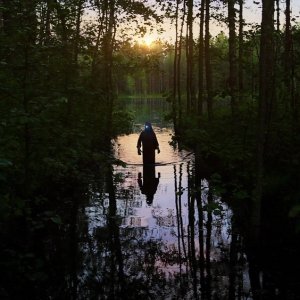 I racconti dell'orso: una suggestiva immagine del film