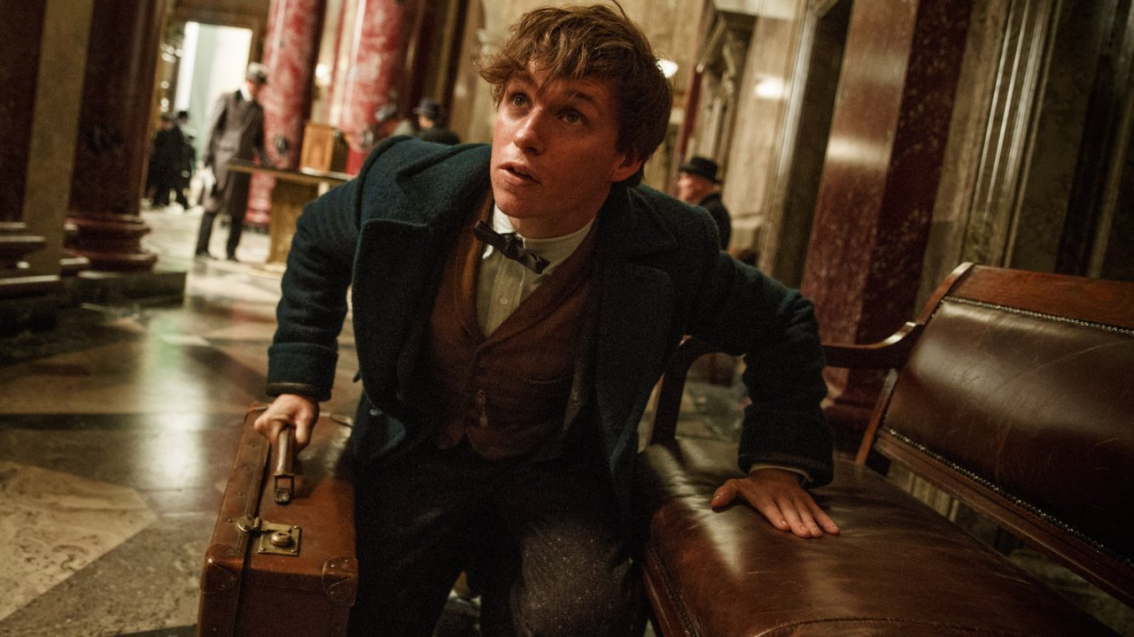Eddie Redmayne in una scena di Animali fantastici e dove trovarli