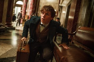 Animali fantastici e dove trovarli: l'attore Eddie Redmayne in una foto promozionale del film