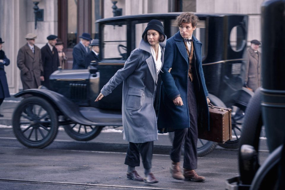 Animali fantastici e dove trovarli: Eddie Redmayne a Katherine Waterston in una foto del film