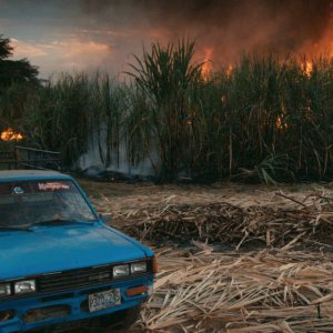 This Changes Everything: una suggestiva immagine tratta dal documentario