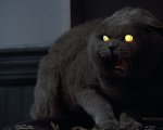 Stephen King: Pet Sematary, un prequel in arrivo su Paramount+