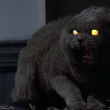 Una scena di Cimitero Vivente