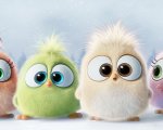 Angry Birds: i pulcini augurano buone feste in un nuovo video