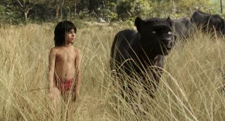Il libro della giungla: una scena del film Disney