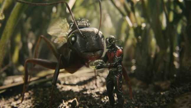 Ant Man Microverse Photo Antony Feeding