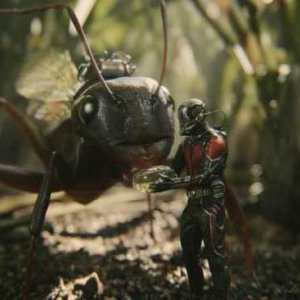 Una scena di Ant-Man
