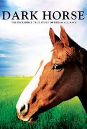 Locandina di Dark Horse