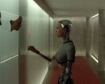 Ex Machina, Babadook, Wild, Ted 2, Wolf Creek 2 e tanti altri consigli e pagelle di un mese in homevideo