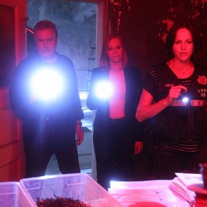CSI: Scena del crimine - William Petersen, Marg Helgenberger e Jorja Fox in Immortality