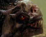 Piranha 3D e altri #fenomenivirali su Cielo
