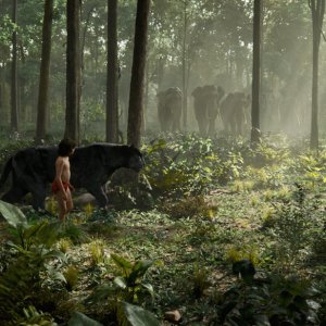 The jungle book: il giovane Neel Sethi insieme alla pantera nera Bagheera