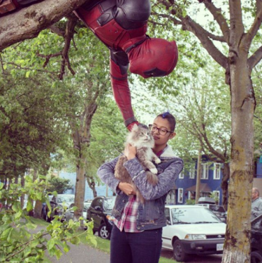 Deadpool: Ryan Reynolds in una foto del film