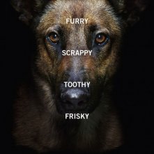 Angie Tribeca: un poster promozionale della serie