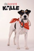 Locandina di Il nostro amico Kalle