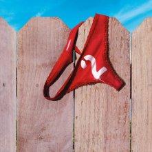 Locandina di Cattivi vicini 2