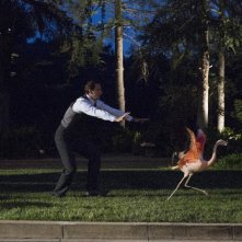 Agent Carter: Edwin Jarvis alle prese con un fenicottero nell'episodio A View in the Dark