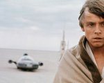Star Wars: Luke Skywalker bisessuale? Ecco la risposta di Mark Hamill