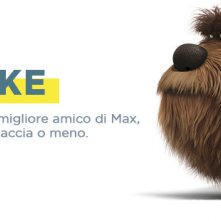 Pets - Vita da animali: la descrizione di Duke