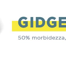 Pets - Vita da animali: i dettgli sul personaggio di Gidget