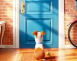 Pets - Vita da animali: nuovo poster e le descrizioni dei personaggi