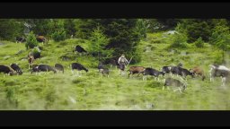 HEIDI - TRAILER ITALIANO [HD]